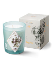 BOUGIE FIGUE TROPICALE