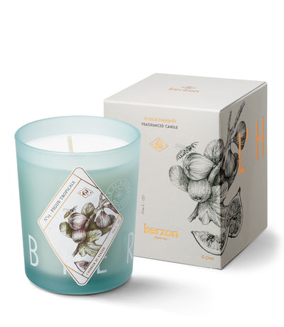BOUGIE FIGUE TROPICALE